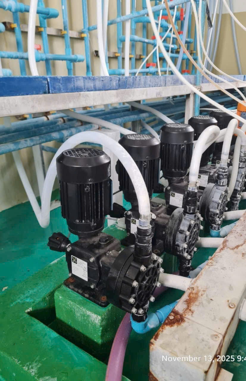 Bơm định lượng Polymer